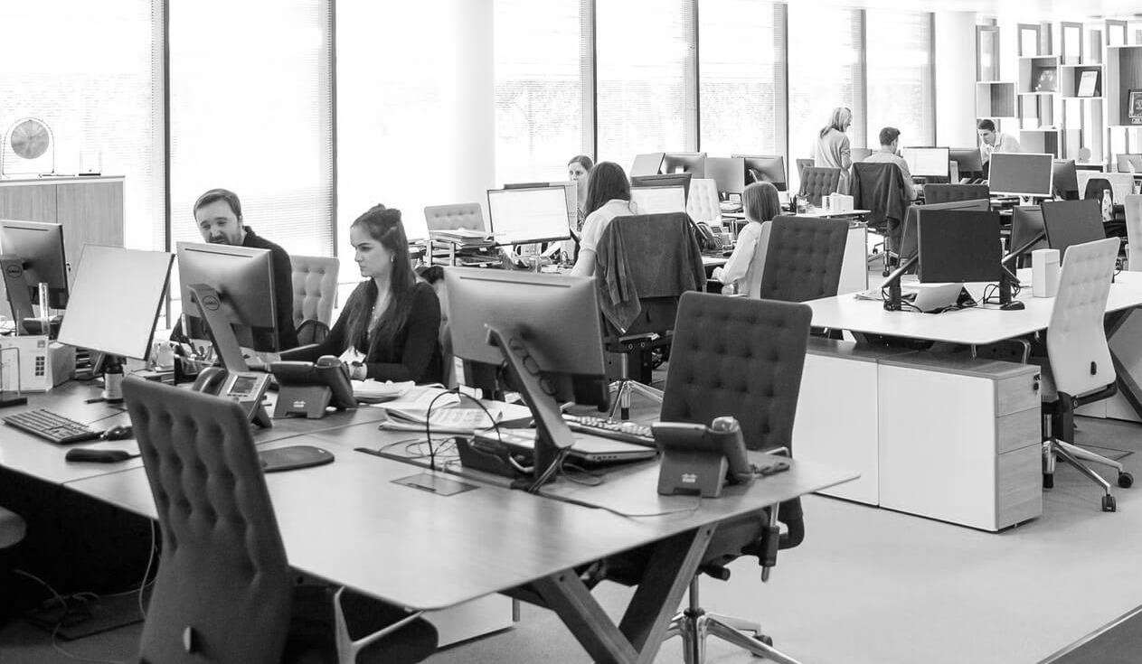 Primer liderazgo (Empresa - RRHH - B2B)